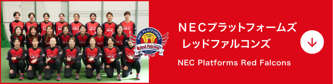 NECプラットフォームズ レッドファルコンズ