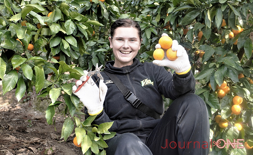 Journal-ONE JDリーグ 伊予銀行ヴェールズ みかん収穫作業 リサ・モールデン内野手