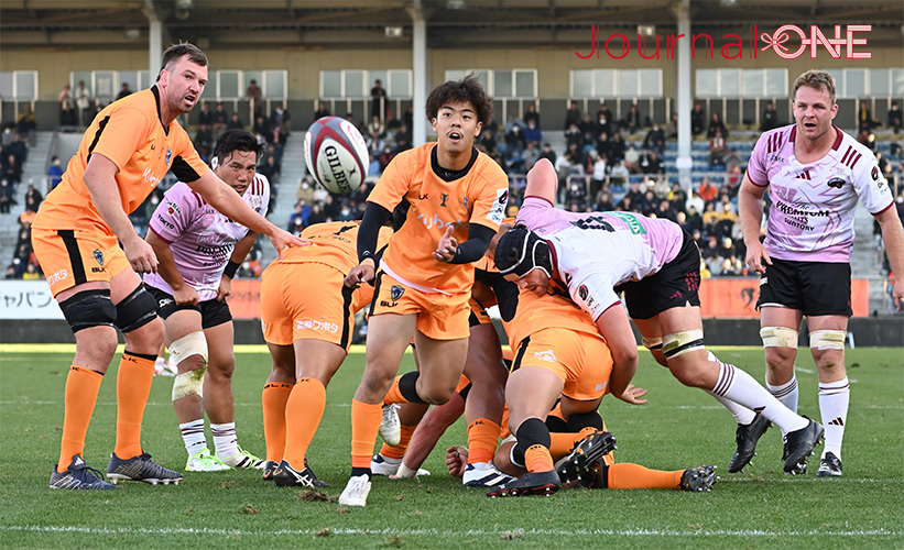 ラグビー リーグワン開幕戦| クボタスピアーズ船橋・東京ベイvs東京サントリーサンゴリアス スピアーズのSH藤原忍選手は苦心のパス供給で打開を図った-Journal-ONE撮影