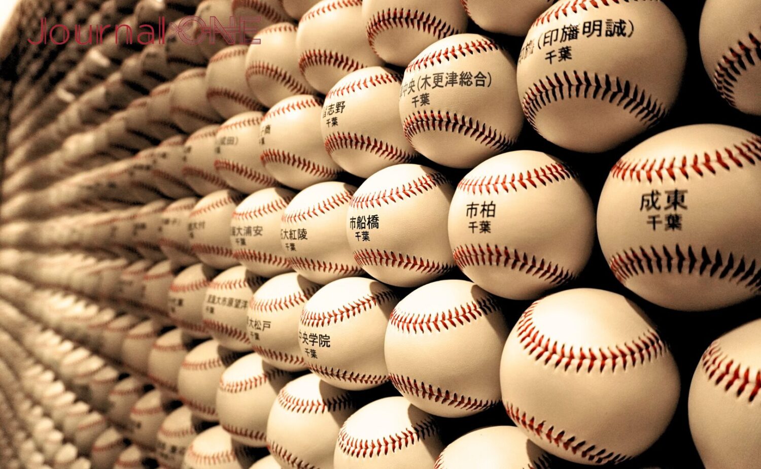 甲子園球場100周年の夏、高校野球に吹く新しい風”朝・夕2部制”の効果は