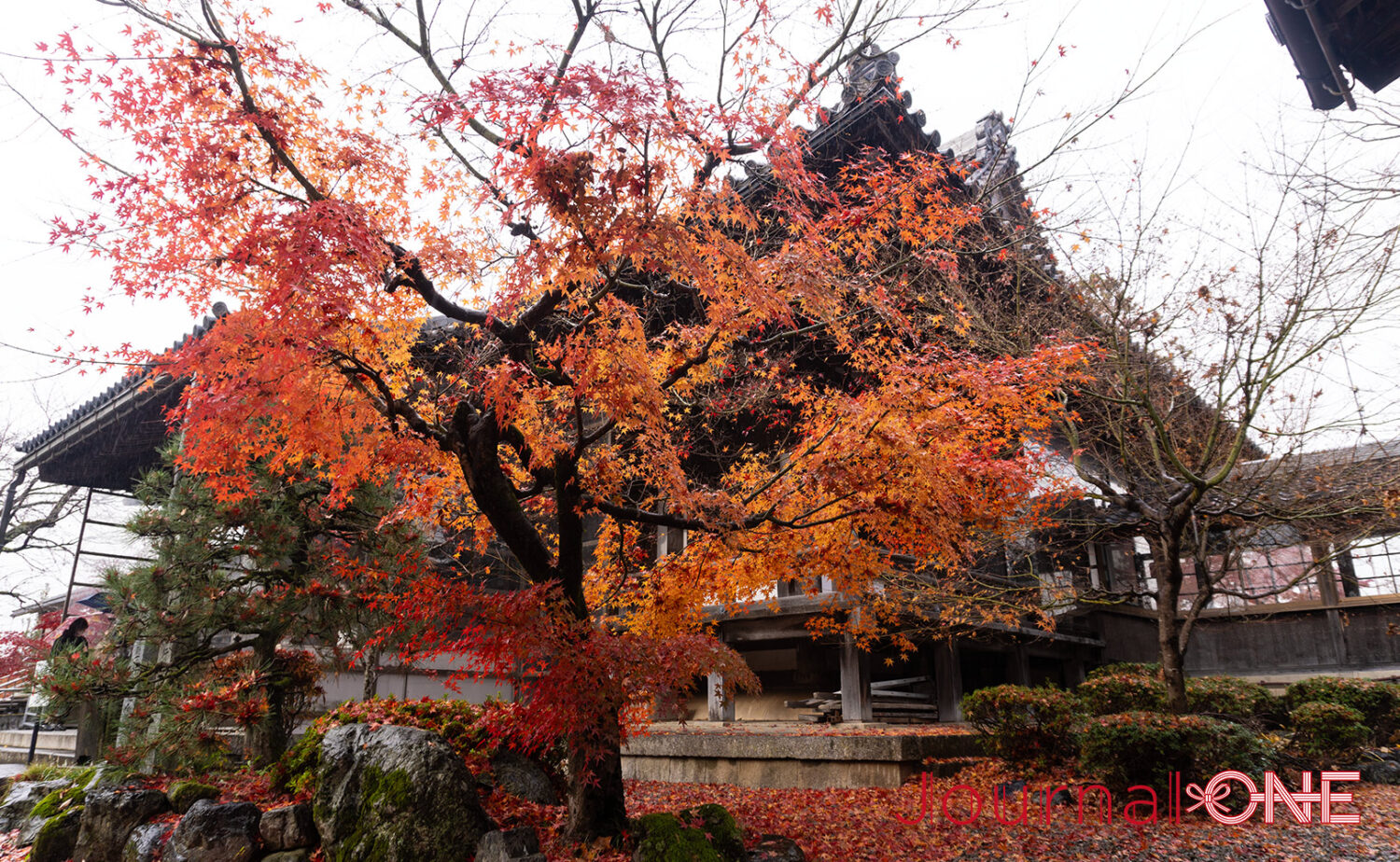 国宝 渡岸寺観音堂