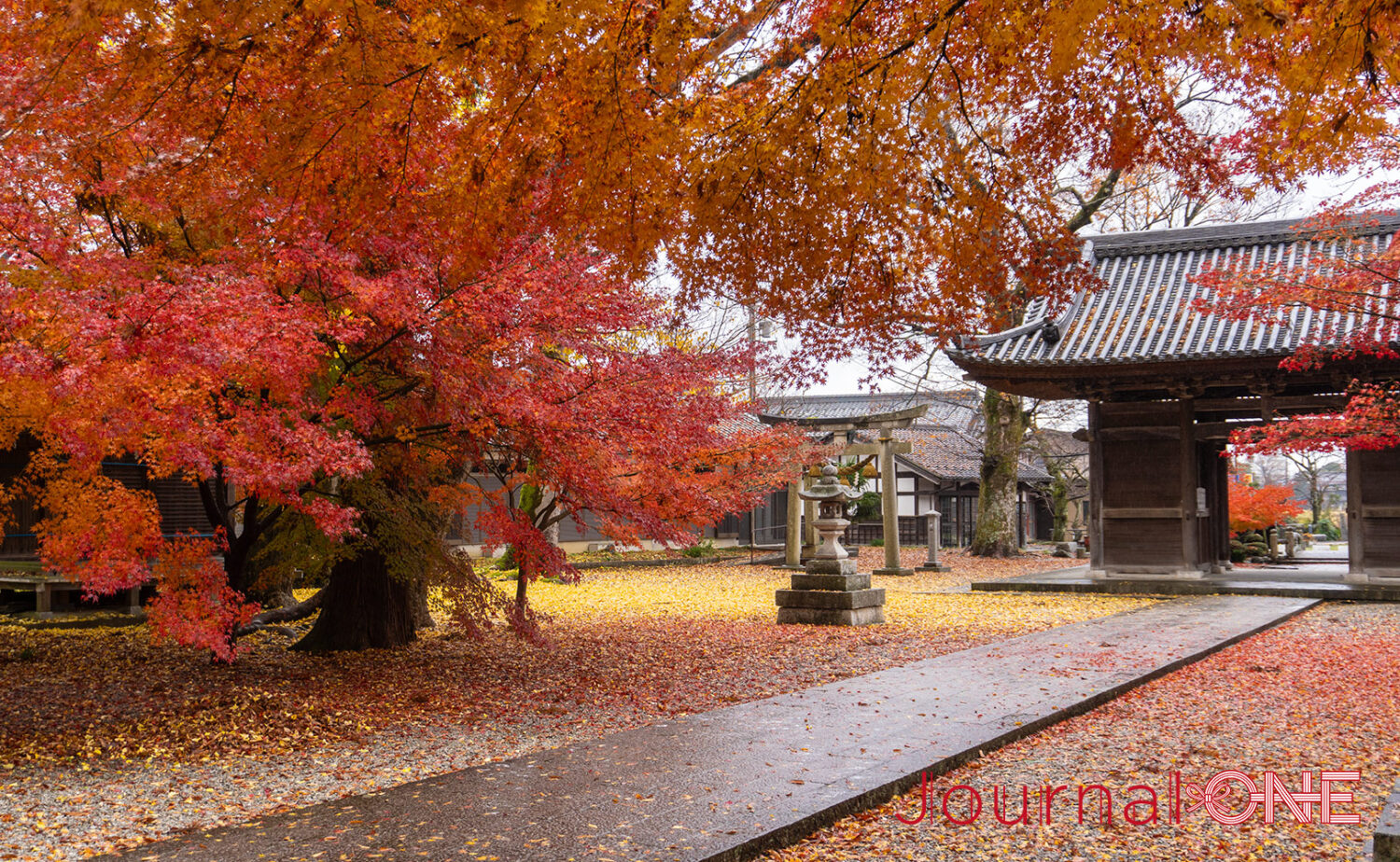 国宝 渡岸寺観音堂