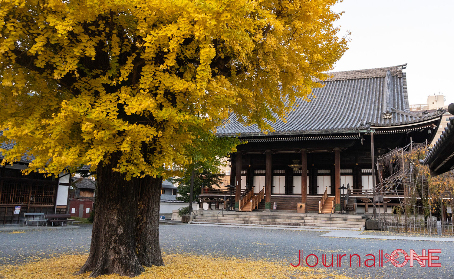 真宗佛光寺派 本山 佛光寺