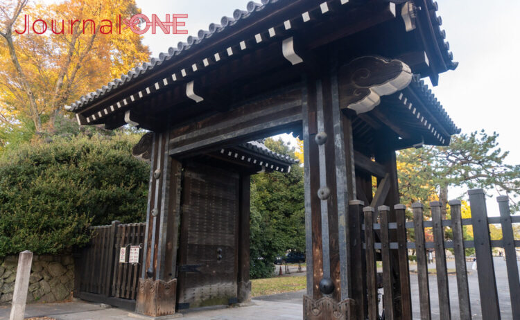 京都御苑 蛤御門