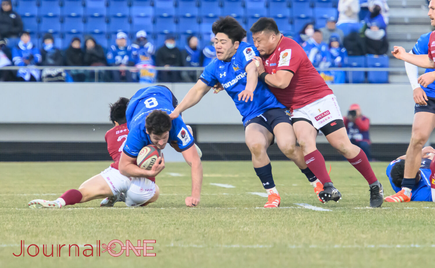 早大主将の佐藤健次選手(埼玉WK)がリーグワン初キャップ-JournalーONE撮影