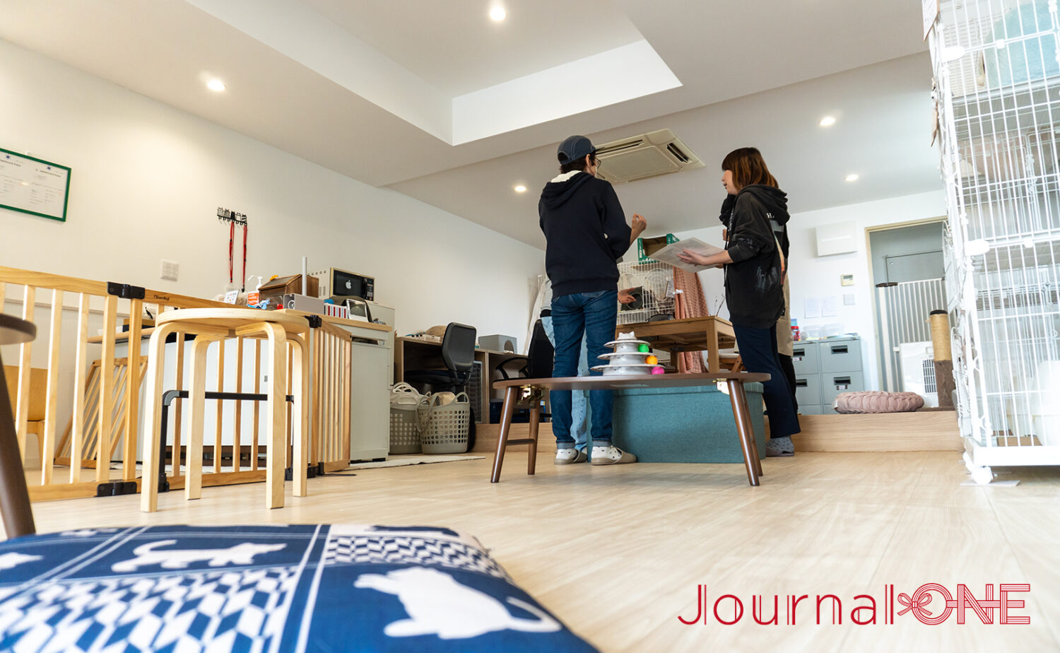 どこかの家のリビングのような店内‐Journal-ONE撮影