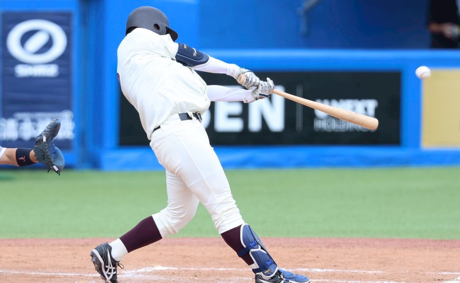 2回にソロ本塁打を放った前田健伸副将-早稲田スポーツ撮影