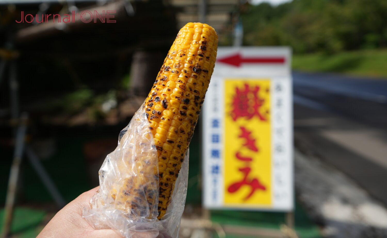 岩木山総合公園野球場