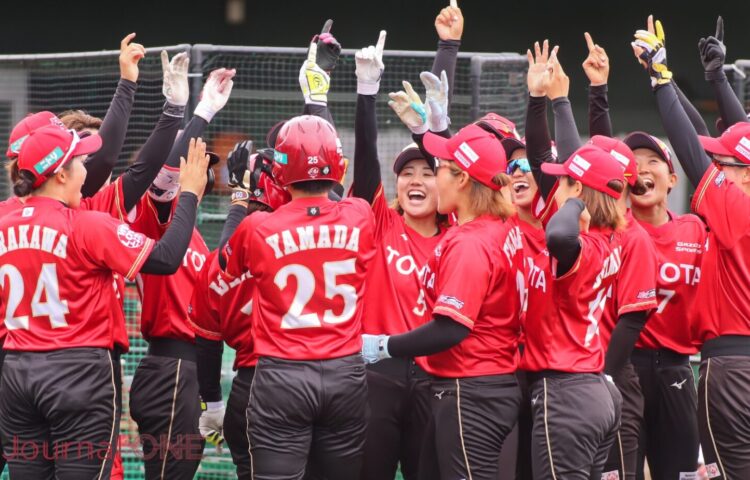 トヨタレッドテリアーズ