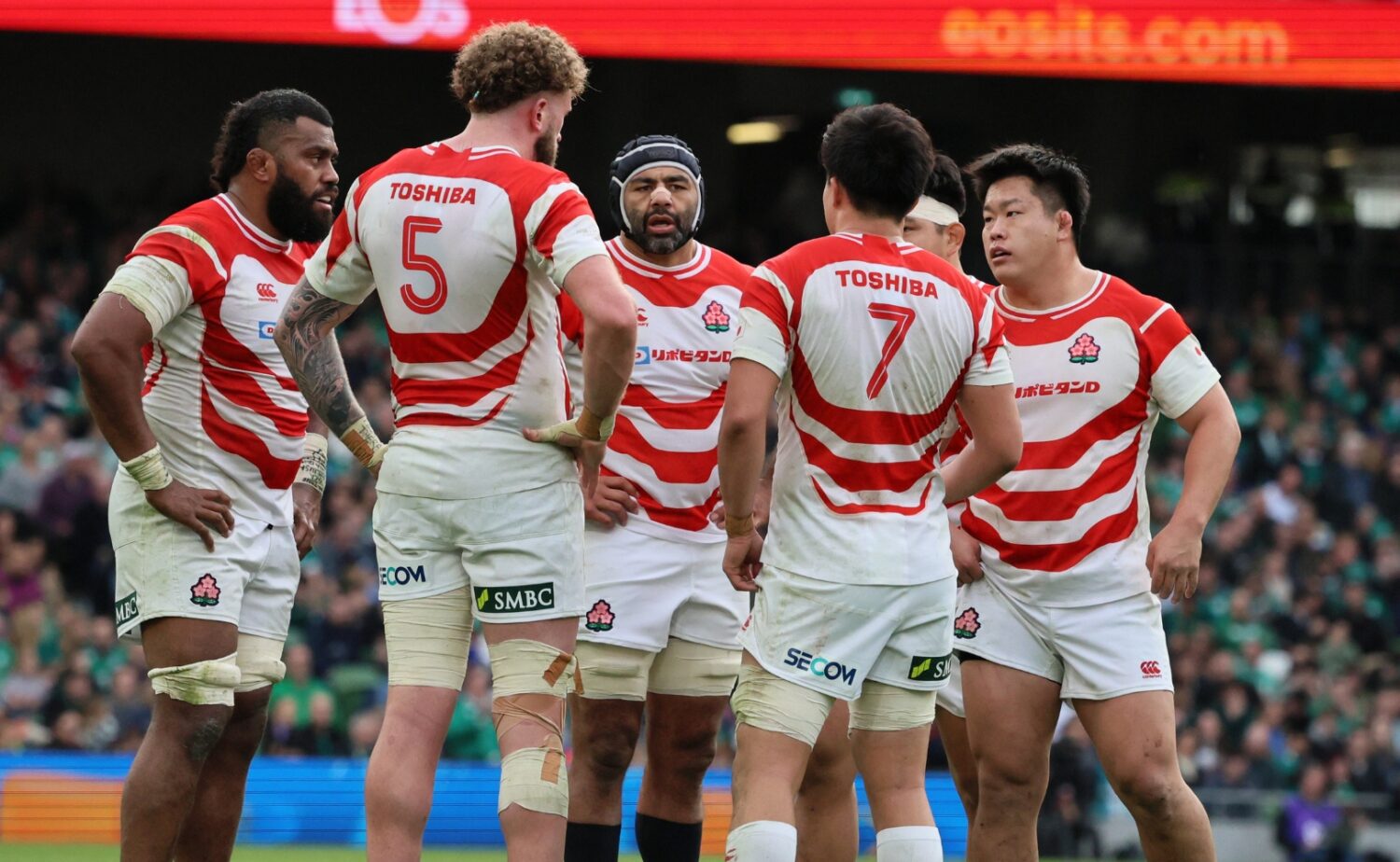 ラグビー日本代表、欧州遠征第2戦でアイルランドに完敗