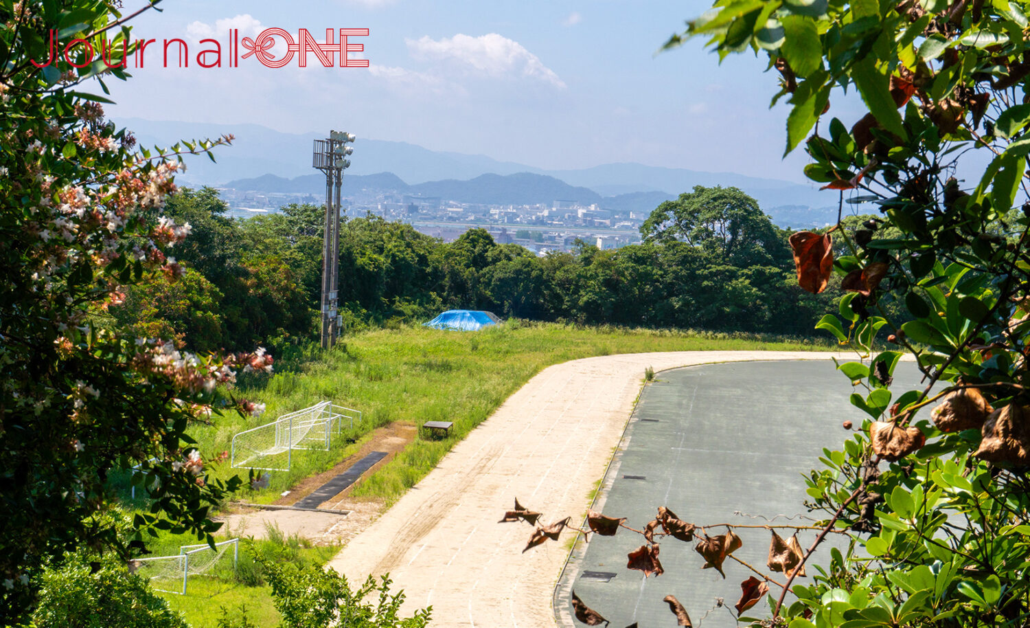 和歌山大学｜自然と知が融合する国立大学の魅力と特色