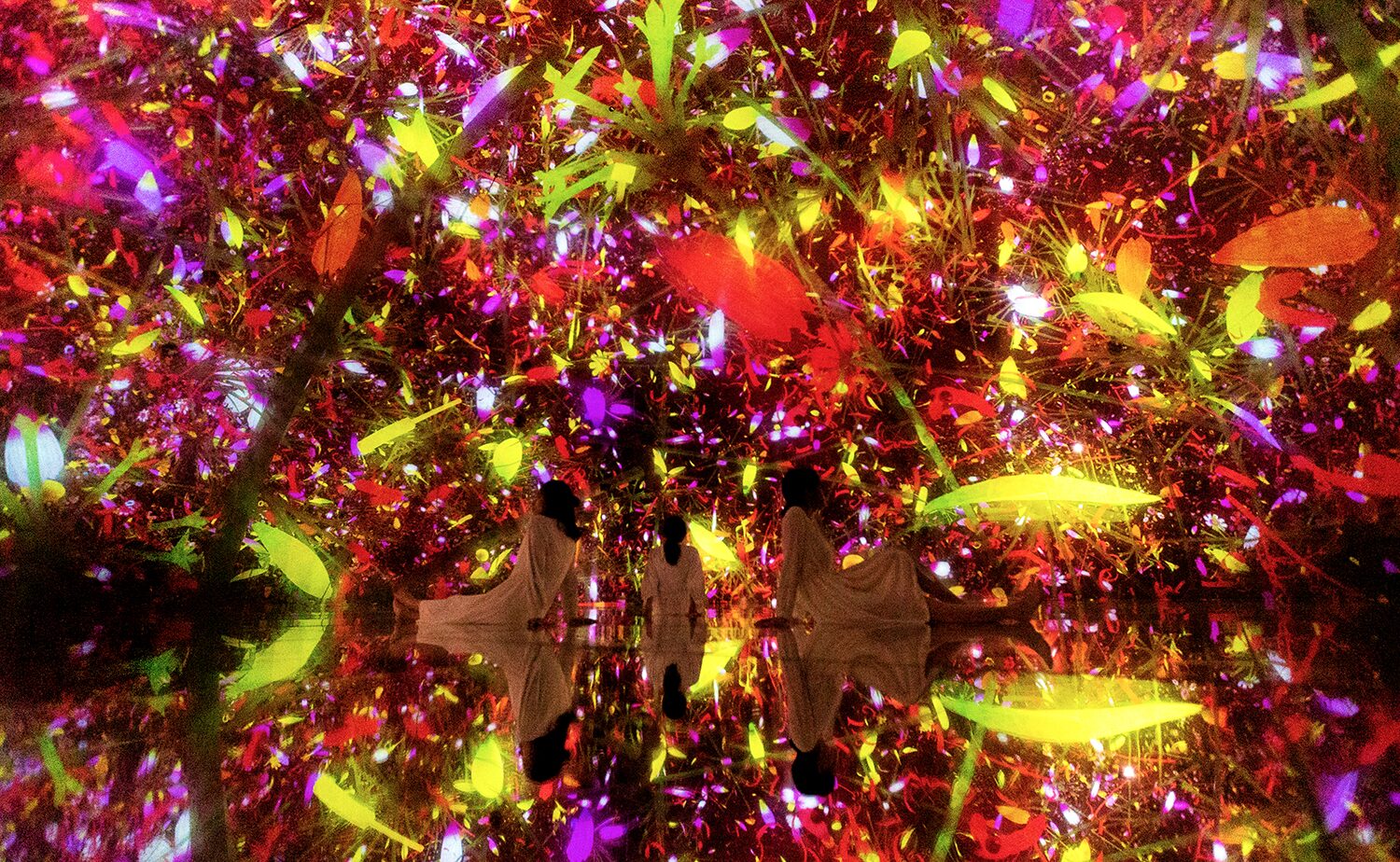 チームラボプラネッツ Floating in the Falling Universe of Flowers