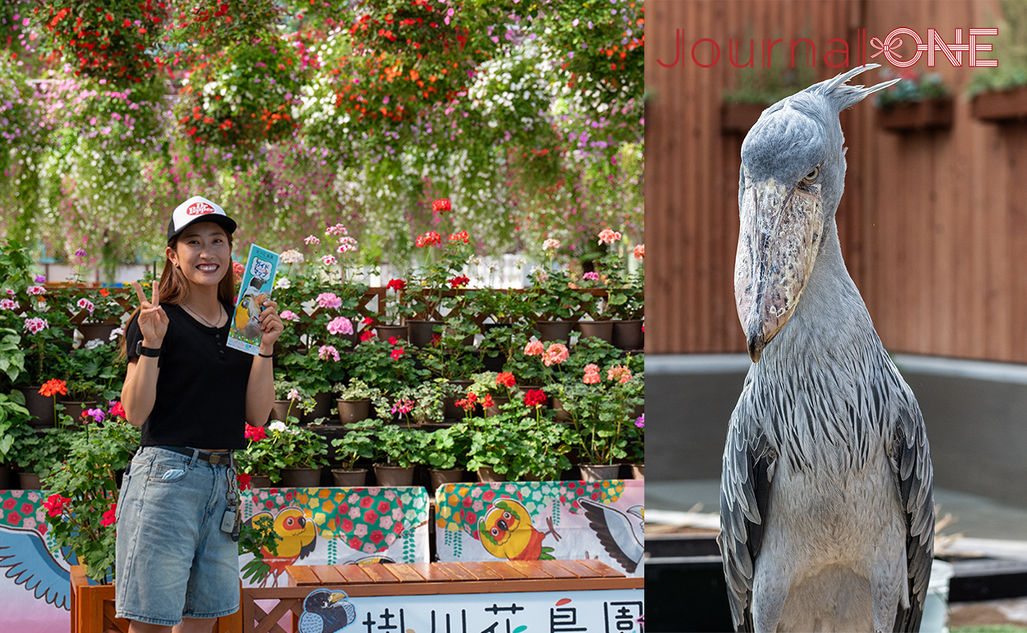 Journal-ONE編集部選定 春休み 旅行 2026のおすすめスポット（掛川花鳥園でハシビロコウと触れ合う、2026年春休み旅行のおすすめ体験シーン）