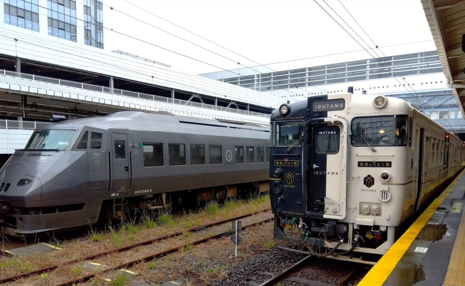 鹿児島中央駅 観光ガイド｜新幹線の終着駅で美食と絶景を愉しむ