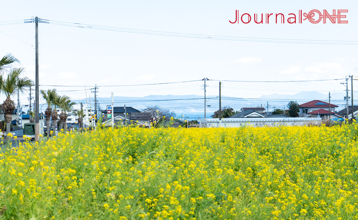JR指宿駅（いぶすきえき）