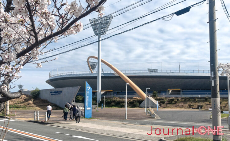 満開の桜越しに見る大阪シティ信用金庫スタジアム。春の青空の下、桜の枝がフレームのように広がり、スタジアムへ向かう人々の姿が写っている。