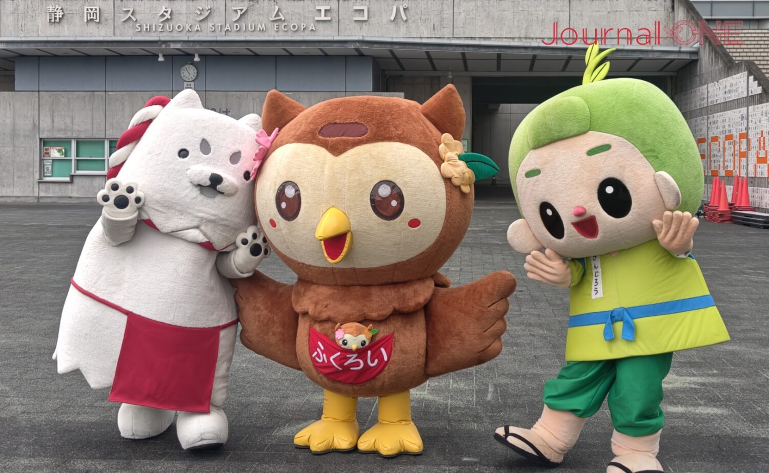 左からしっぺい、フッピー、茶のみやきんじろう-Journal-ONE撮影
