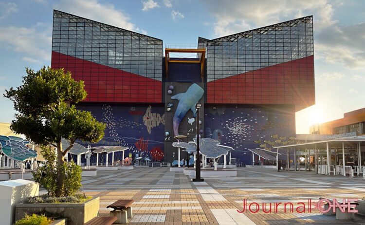 世界最大級の水族館・海遊館。ジンベエザメが描かれた象徴的な建物の先には、5400トンの海が待っている。