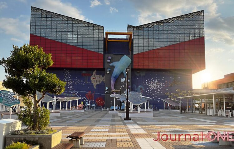 世界最大級の水族館・海遊館。ジンベエザメが描かれた象徴的な建物の先には、5400トンの海が待っている。