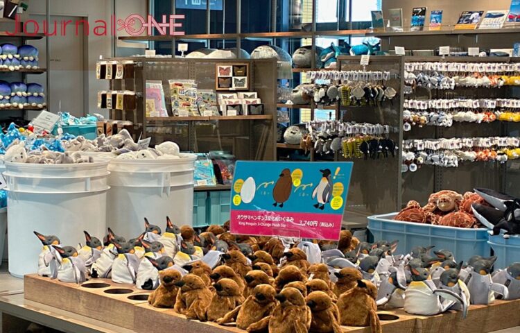 海遊館オフィシャルショップの店内。ペンギンやジンベエザメのぬいぐるみをはじめ、海遊館オリジナルグッズが並んでいる。