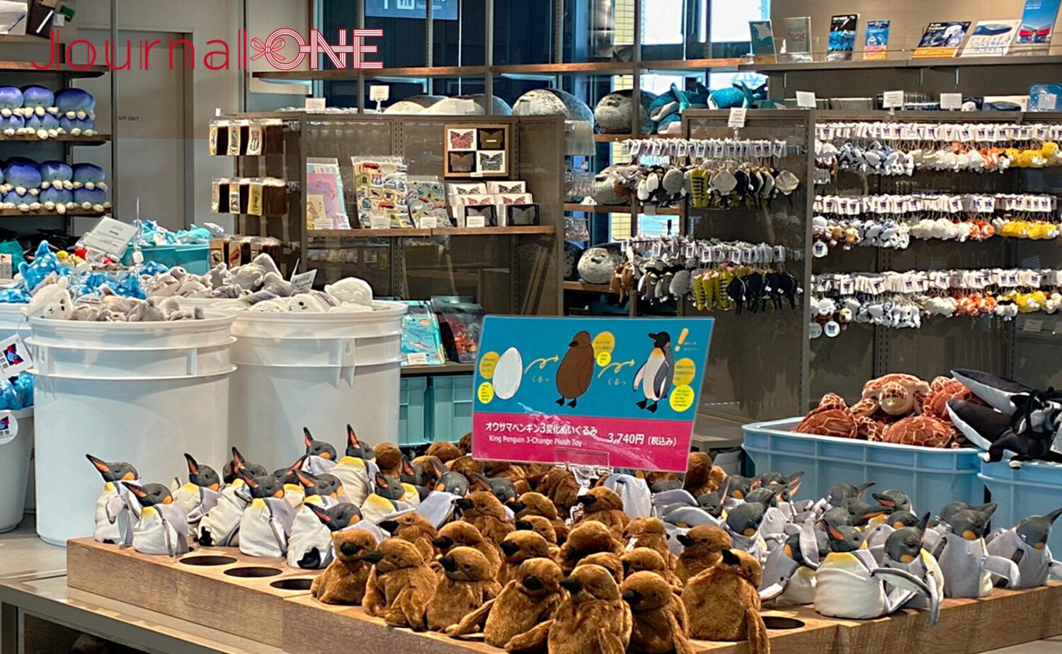 海遊館オフィシャルショップの店内。ペンギンやジンベエザメのぬいぐるみをはじめ、海遊館オリジナルグッズが並んでいる。