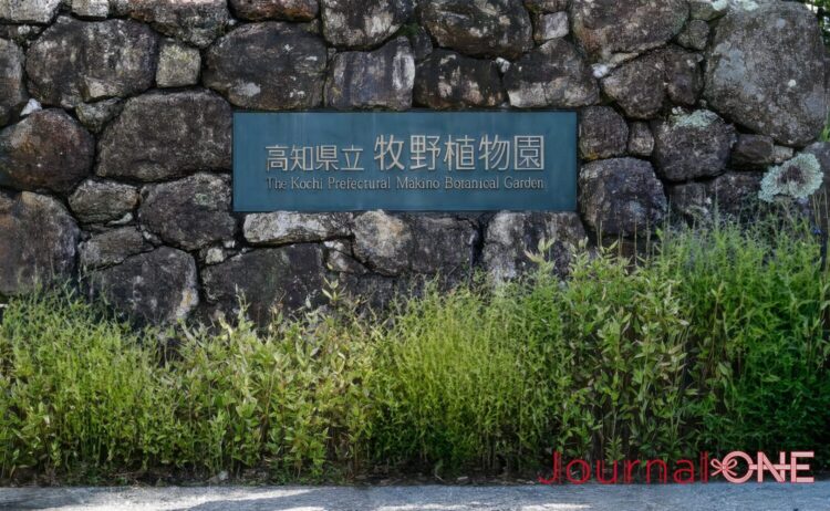 高知県立牧野植物園の園名看板と石垣の外観