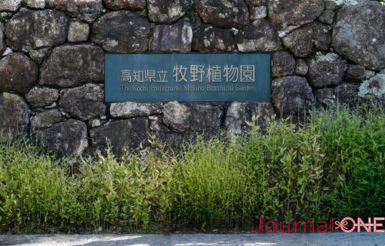 高知県立牧野植物園の園名看板と石垣の外観