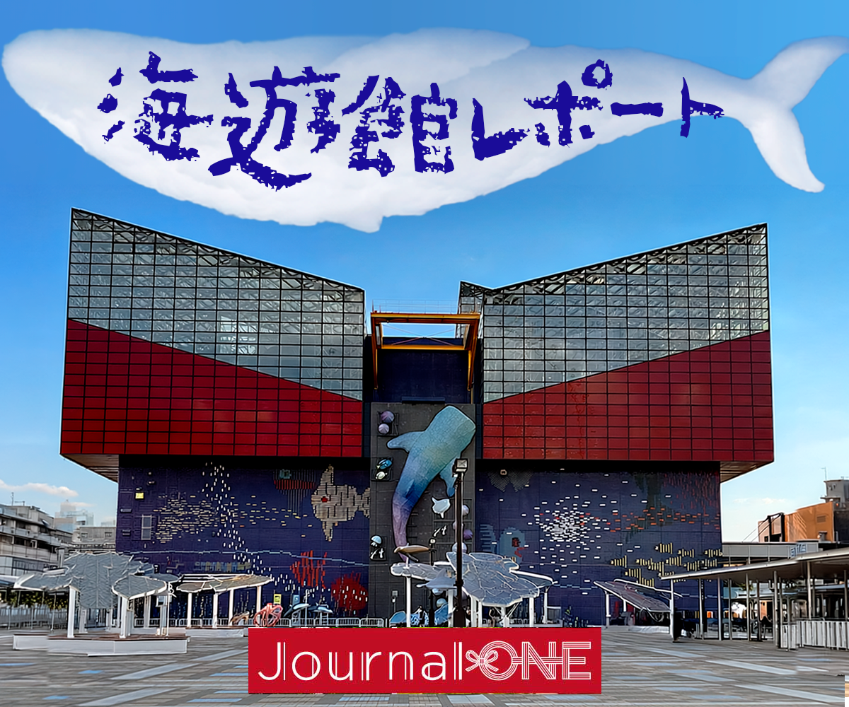 海遊館レポート