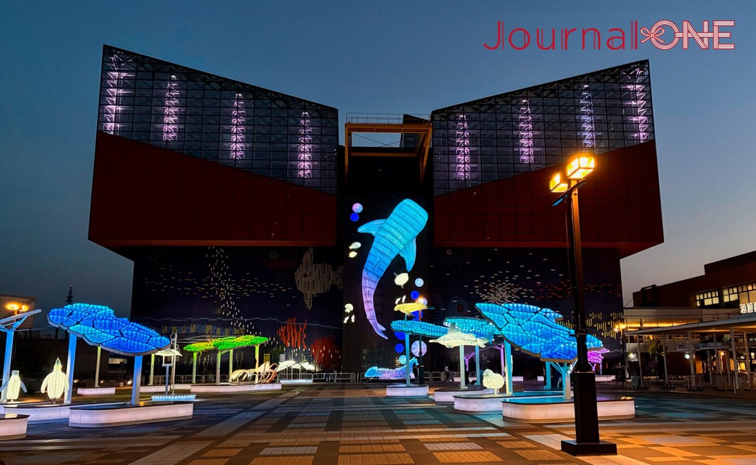 夜の海遊館前広場。ライトアップされたジンベエザメのオブジェと海遊館の建物が幻想的に輝いている。