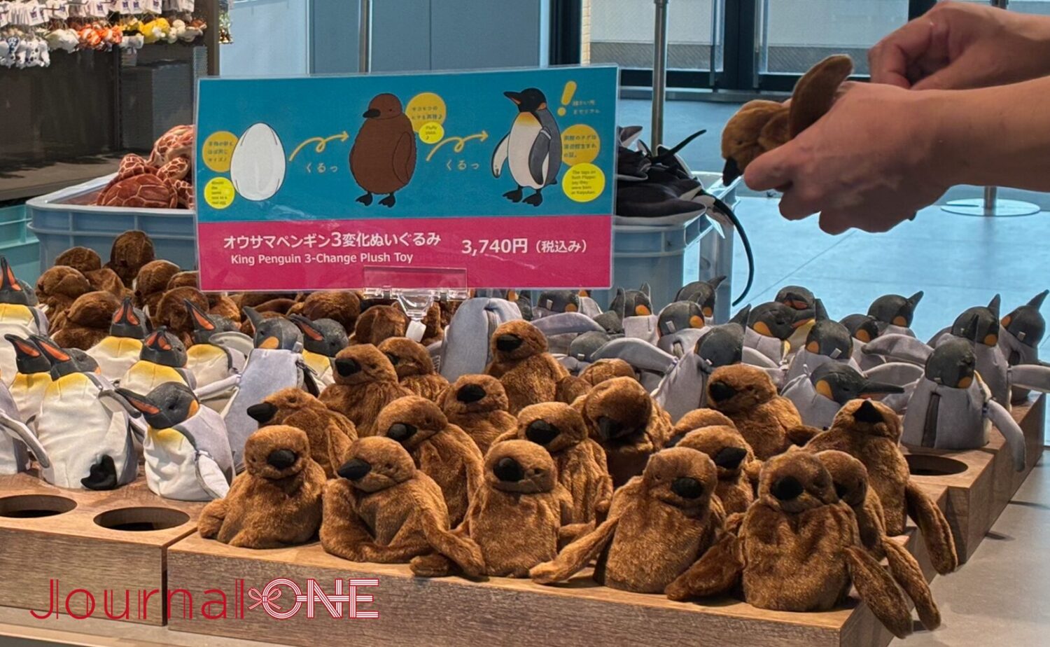 海遊館オフィシャルショップで販売されている「ペンギン三変化」のぬいぐるみ。卵からヒナ、親鳥へと成長する姿が再現されている。