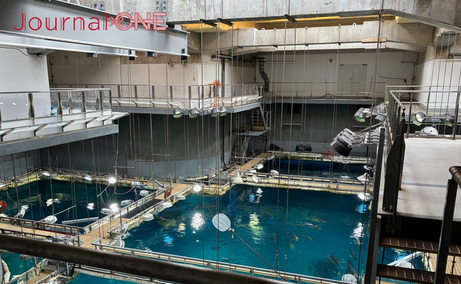 大阪港の天保山エリアに位置する水族館「海遊館」の一般非公開エリアである「「太平洋」水槽」のバックヤード（舞台裏）。コンクリート壁と頑丈な鉄骨が剥き出しになった無骨な構造の中、巨大な水槽の真上を囲むように金属製のキャットウォーク（足場）や手すり、階段が十字に連結して組まれている状態。天井からは水面を照らす大型の照明器具や多数のワイヤーが吊り下げられており、青い海原のような大水槽を見下ろす緊迫感と臨場感のある施設内部のシチュエーション