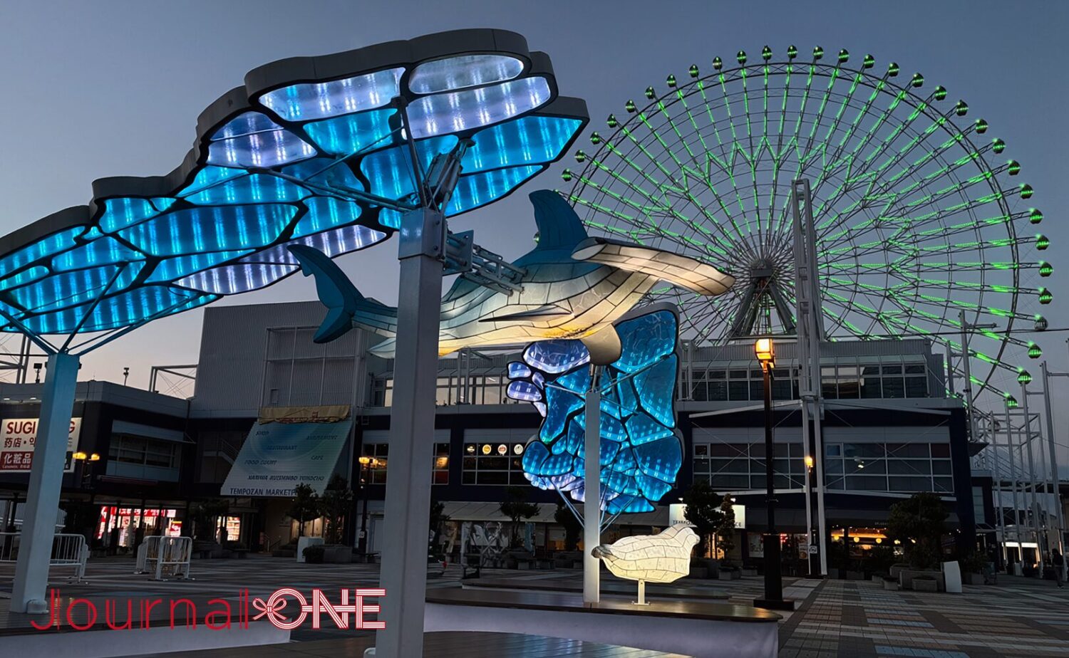 夜の港広場でライトアップされたタコ、シュモクザメ、ペンギンなどの海洋生物オブジェと観覧車