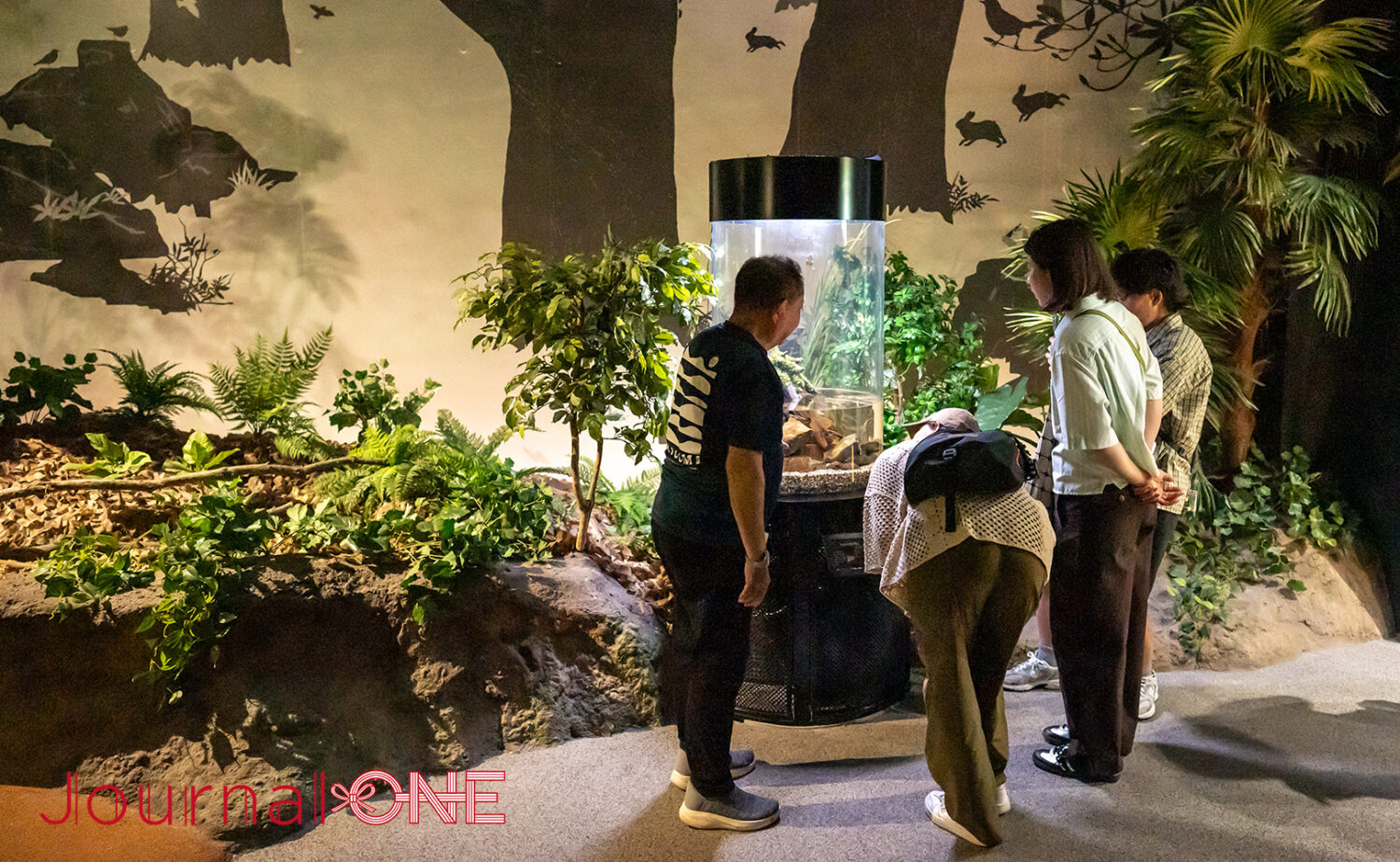 足摺海洋館SATOUMIとは?竜串湾まるごとが舞台の水族館