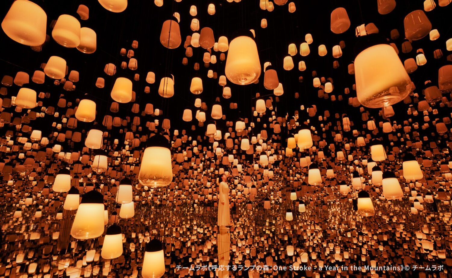 teamLab Biovortex KYOTO（チームラボバイオヴォルテクス京都）」内で展示されているチームラボのアート作品《呼応するランプの森：One Stroke - a Year in the Mountains》。床と壁に無数のランプが密度高く拡散・反射し、人が立ち止まることで最寄りのランプが強く発光して周囲へ光の連続的な伝播が広がる、光の奥行きと広がりを持つ幻想的な幻想空間。