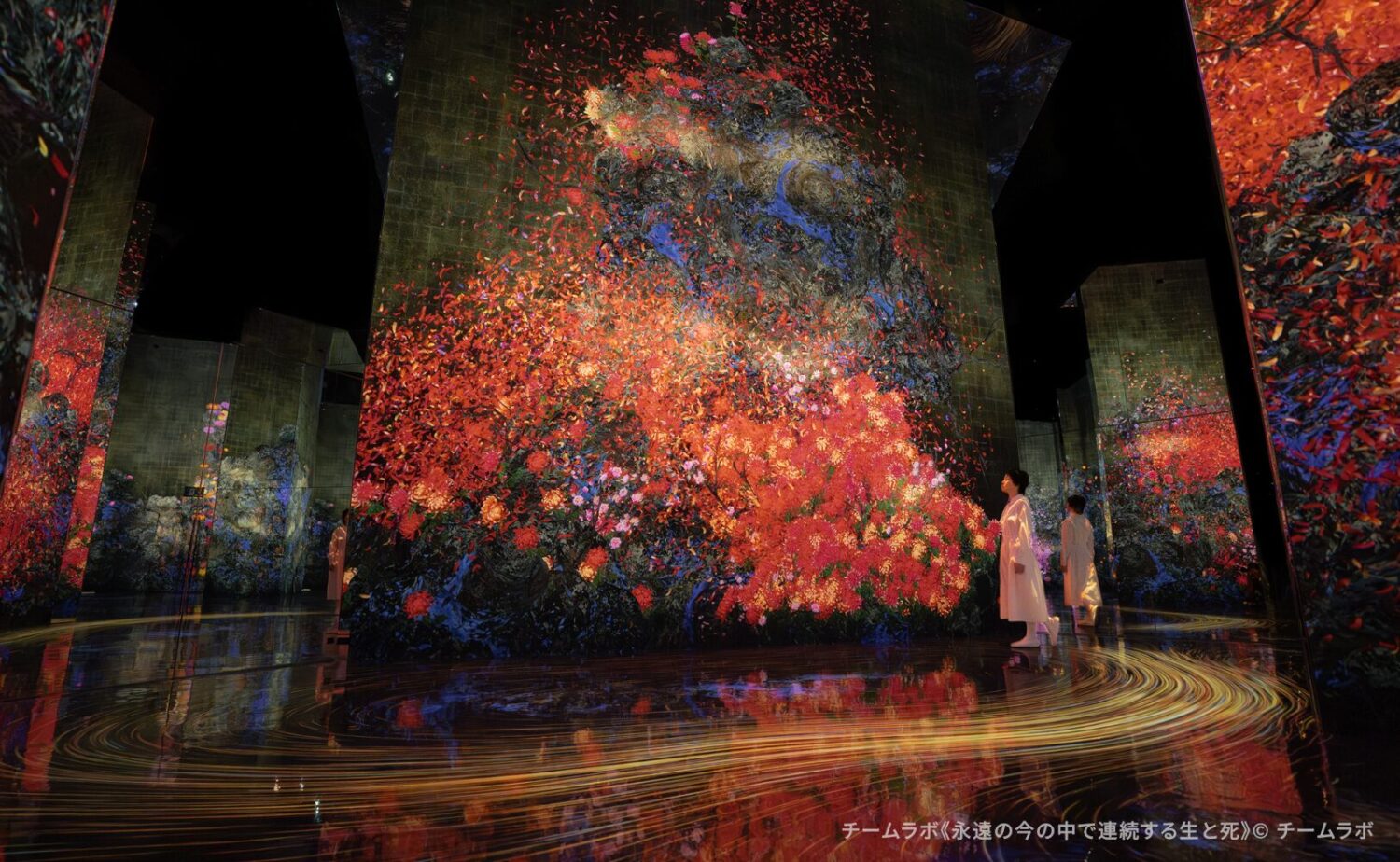 teamLab Biovortex KYOTO（チームラボバイオヴォルテクス京都）」内で展示されているチームラボのアート作品《永遠の今の中で連続する生と死》。大きな壁面や柱に鮮やかな赤やゴールドを基調とした花々が咲き誇り、散っては変容を繰り返すモチーフが描かれ、足元の漆黒の床面に光の軌跡が静かに写り込むなか、佇む鑑賞者の姿とともに時間の循環と生命の儚さを描き出す幻想的な作品空間。