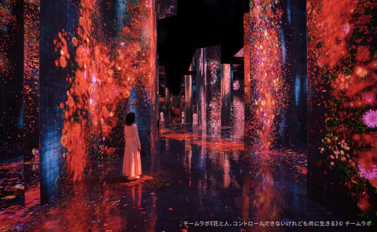 チームラボによるデジタルアート作品《花と人、コントロールできないけれども共に生きる》。天井、床、壁の全方位に鏡面が配された空間で、赤を基調とした無数の花々が誕生と死滅を繰り返しながら連続的に映し出される