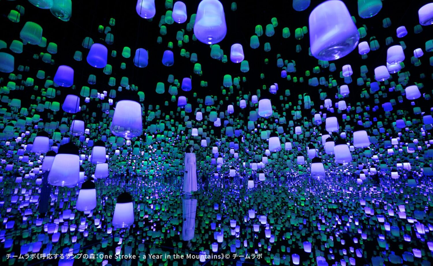 eamLab Biovortex KYOTO（チームラボバイオヴォルテクス京都）」内で展示されているチームラボのアート作品《呼応するランプの森：One Stroke – a Year in the Mountains》。床や壁面が鏡面加工された空間内に、黒いソケットとスモーク加工された透明ガラスで構成された無数のランプが天井から不規則に吊り下げられ、鑑賞者の存在に呼応してブルーやパープル、グリーンへと色彩を変えながら重層的に光が無限反射する幻想的な作品空間。