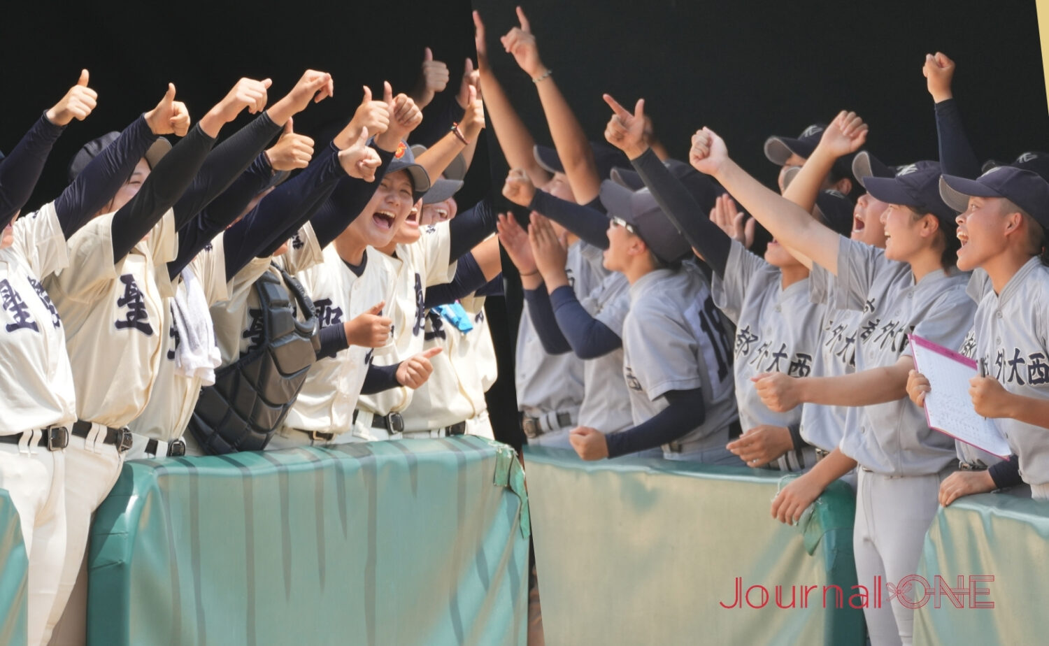 女子高校野球 弘前学院聖愛と京都外大西のベンチ-Journal-ONE撮影