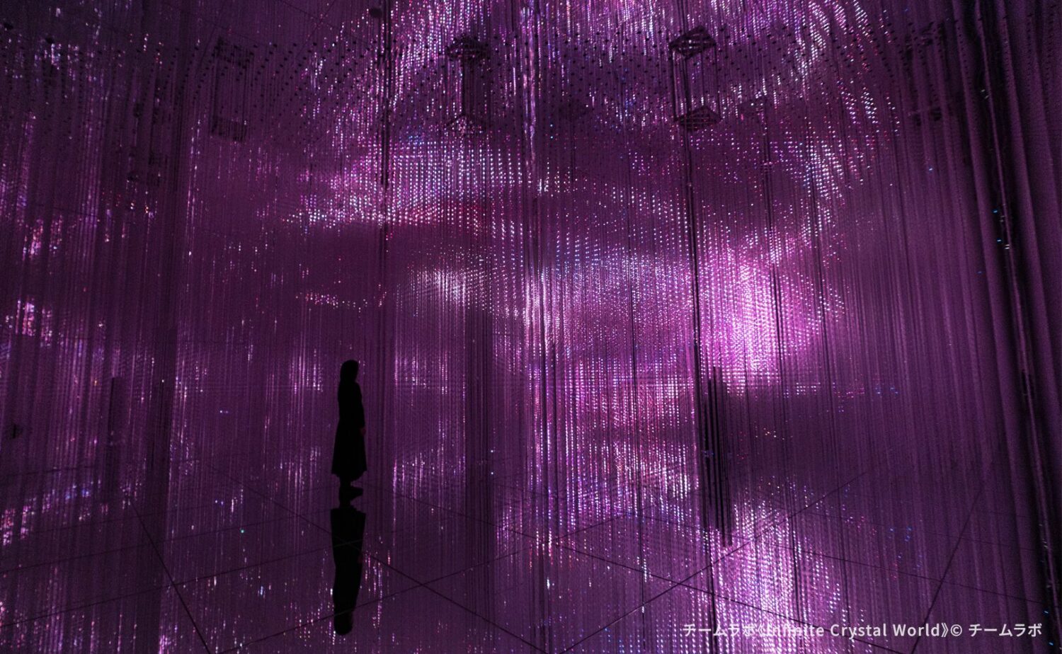 teamLab Biovortex KYOTO（チームラボバイオヴォルテクス京都）」内で展示されているチームラボのアート作品《Infinite Crystal World》。無数光が空間全体に幾重にも吊り下げられ、ピンクや緑など色彩が刻々と変化しながら四方へと流れるように瞬くなか、光で彩られた路地のような通路を鑑賞者がゆっくりと進む圧倒的な没入感と無限の奥行きを持つ作品空間