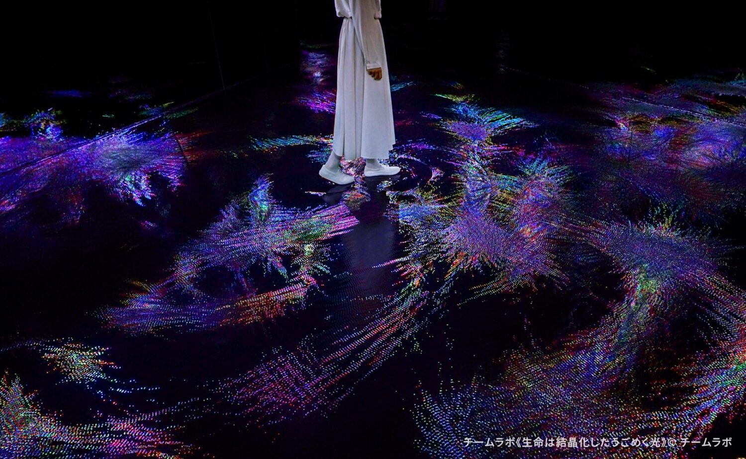 eamLab Biovortex KYOTO（チームラボバイオヴォルテクス京都）」内で展示されているチームラボのアート作品《生命は結晶化したうごめく光》。水面を模した暗い床面に、青や紫、ピンクなどの微小な光の粒子が集積して結晶化するように蠢き、鑑賞者の足元から波紋のように光の模様が拡散・交錯していく幻想的な作品空間。