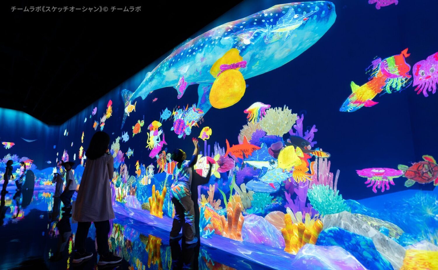 チームラボ《スケッチオーシャン》 来場者が描いた魚たちがデジタルの海を泳ぐ体験型アート作品