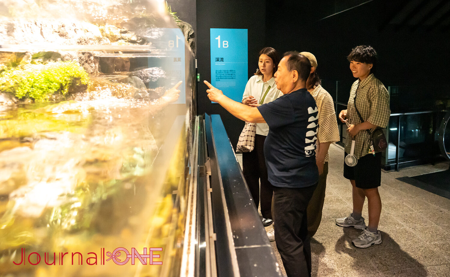 足摺海洋館SATOUMI｜“海の中を歩く”感覚がすごい新時代の水族館