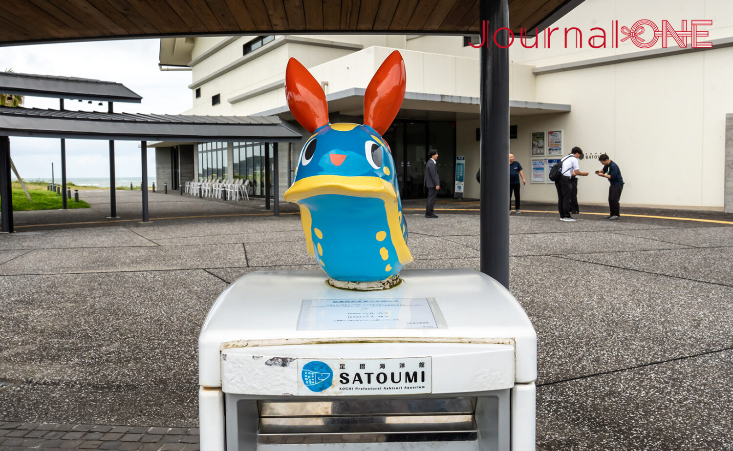 足摺海洋館SATOUMI｜“海の中を歩く”感覚がすごい新時代の水族館