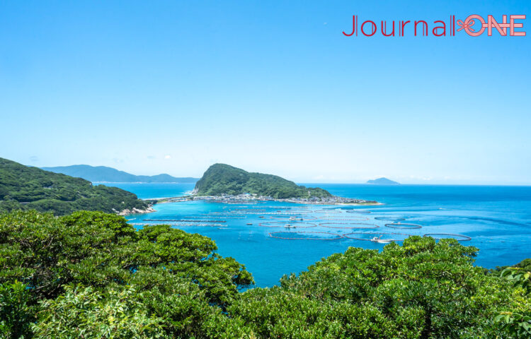 高知県大月町 柏島の透明度抜群の海と絶景