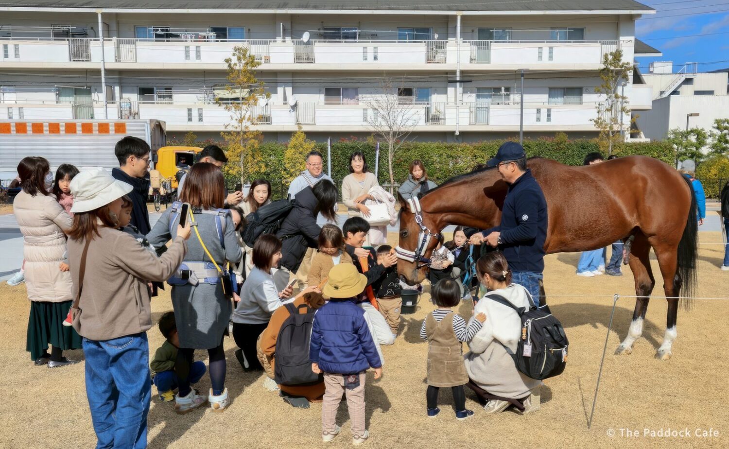 The Paddock Cafe前の広場で開かれた馬ふれあいイベント