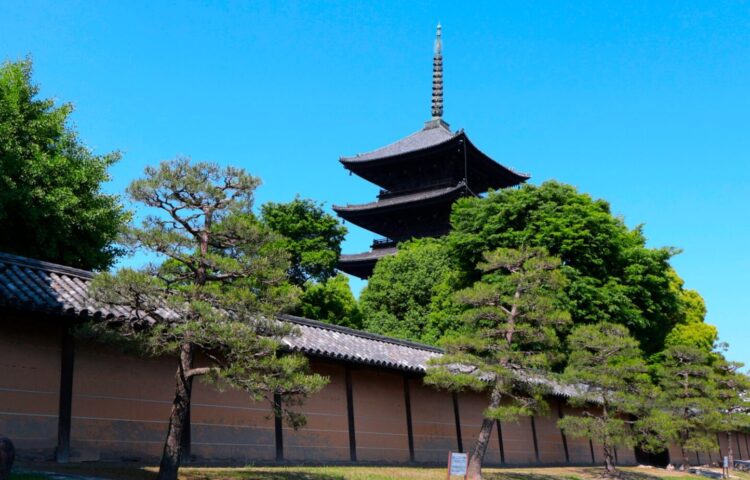 京都府京都市南区に位置する真言宗の総本山「東寺（教王護国寺）」の境内外観。手前には瓦屋根を冠した伝統的な土壁の築地塀（ついじべい）が長く伸びている。