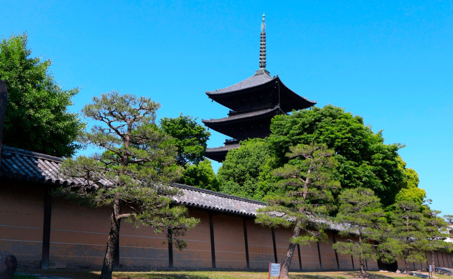 京都・東寺の見どころとアクセス｜チームラボ京都近くの世界遺産