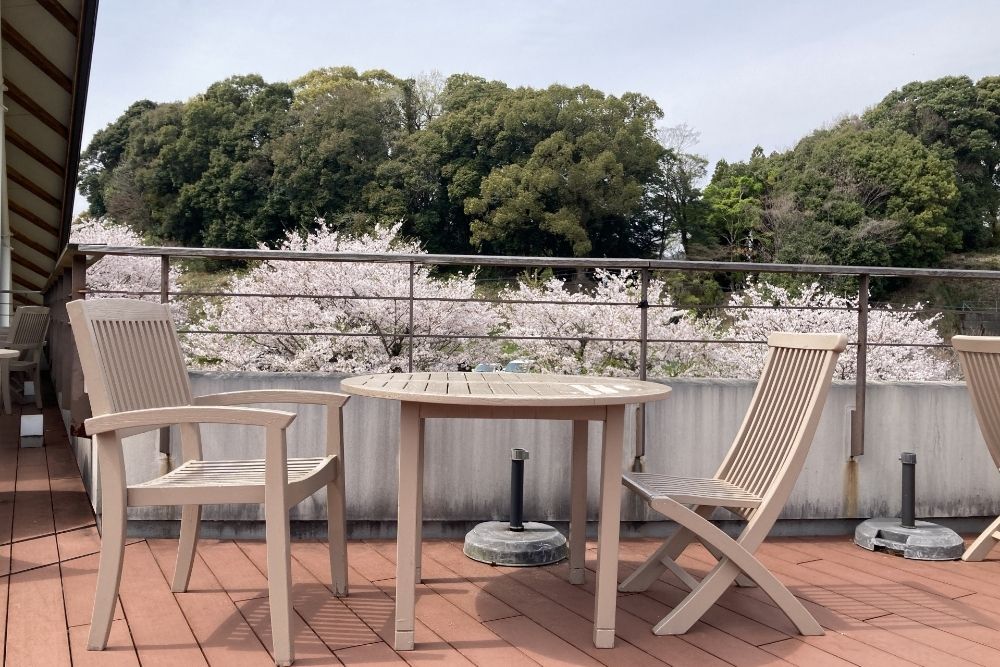 海遊館のお土産とショップ・カフェ