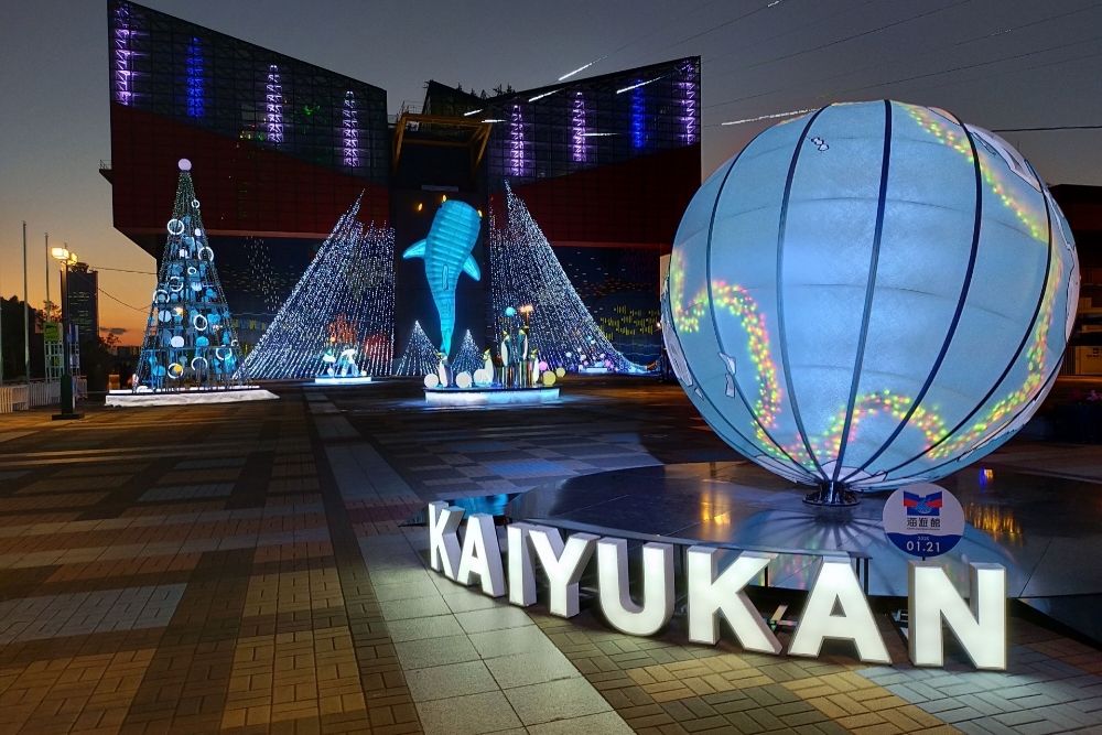 海遊館の見どころと展示