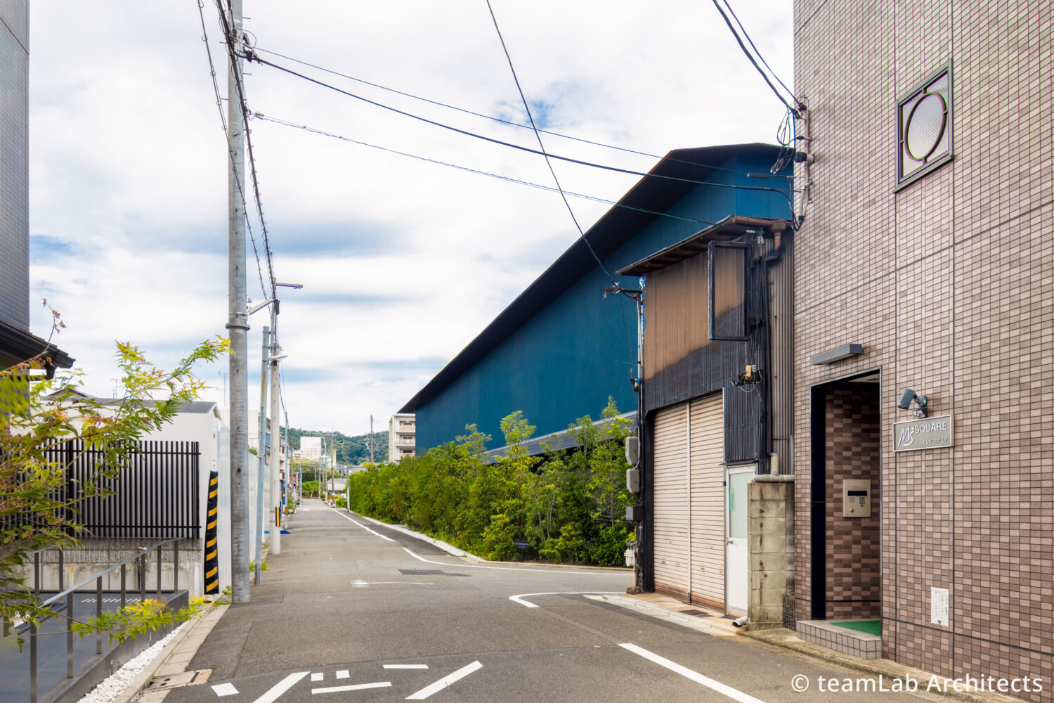 チームラボ バイオヴォルテックス 京都｜見どころ体験と所要時間回り方完全ガイド